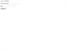 Tablet Screenshot of mail.netbox.cz
